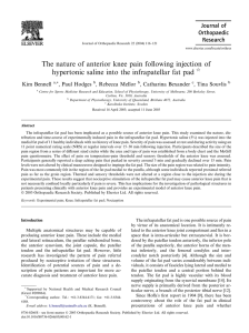 The nature of anterior knee pain following injection of
