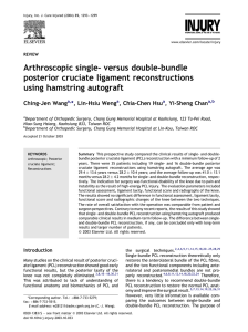 Arthroscopic single- versus double-bundle posterior cruciate ligament reconstructions using hamstring autograft