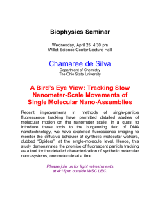 Biophysics Seminar A Bird’s Eye View: Tracking Slow Nanometer-Scale Movements of