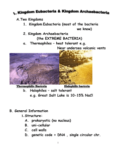 A.Two Kingdoms 1.  Kingdom Eubacteria (most of the bacteria we know)