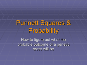 Punnett Squares &amp; Probability How to figure out what the