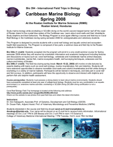 Caribbean Marine Biology Spring 2008