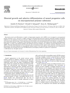 Directed growth and selective differentiation of neural progenitor cells