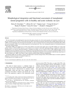 Morphological integration and functional assessment of transplanted