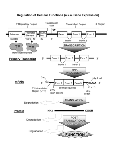 Regulation of Cellular Functions (a.k.a. Gene Expression)