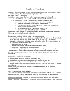 Induction—one cell or group of cells changes the behavior (fate,... mitotic activity, etc.) of another cell or group of cells