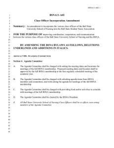BSNA11-A02 Class Officer Incorporation Amendment Summary: