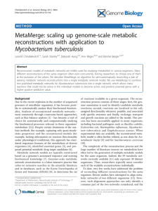 MetaMerge: scaling up genome-scale metabolic reconstructions with application to Mycobacterium tuberculosis