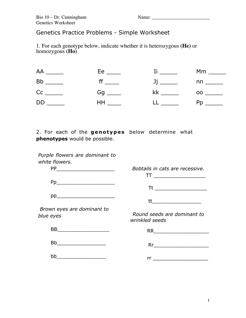 Genetics Practice Problems - Simple Worksheet (He) (Ho) AA _____ With Genotypes And Phenotypes Worksheet