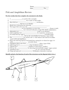 Fish and Amphibian Review  Name___________________ Date_____________ Per___