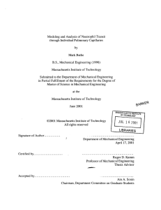 Modeling  and  Analysis  of Neutrophil  Transit (1998)