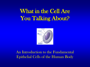 What in the Cell Are You Talking About?