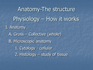 Anatomy-The structure Physiology – How it works