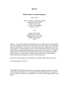 DRAFT  Public inputs as common property