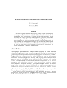 Extended Liability under double Moral Hazard J. O. Anyangah February, 2004