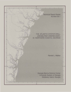 Technical  Report Series Number 93-1 THE  ATLANTIC OYSTER DRILL, (SAY),