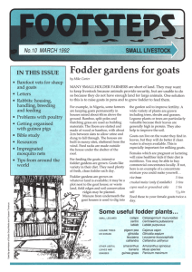 Fodder gardens for goats IN THIS ISSUE and goats