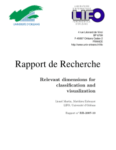 Relevant dimensions for classification and visualization Lionel Martin, Matthieu Exbrayat