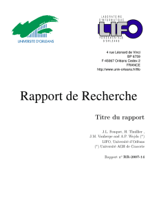 Titre du rapp ort