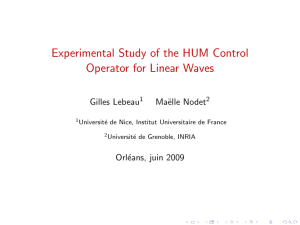 Experimental Study of the HUM Control Operator for Linear Waves Gilles Lebeau Ma¨