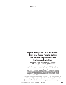 Age of Neoproterozoic Bilatarian Body and Trace Fossils, White Metazoan Evolution