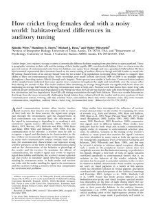 How cricket frog females deal with a noisy auditory tuning