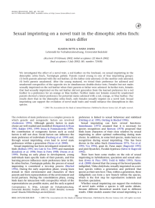 Sexual imprinting on a novel trait in the dimorphic zebra... sexes differ