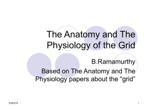 The Anatomy and The Physiology of the Grid B.Ramamurthy