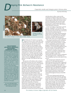 D elaying Pink Bollworm Resistance Cooperative studies and strategies protect Arizona cotton