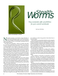 Worms Stealth N Tiny nematodes offer possibilities