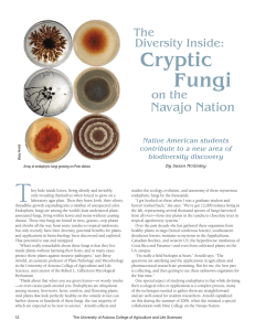 T Cryptic Fungi Navajo Nation
