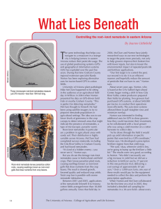 What Lies Beneath T Controlling the root–knot nematode in eastern Arizona