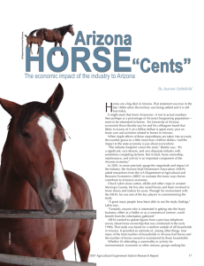 HORSE  Arizona “Cents”