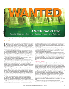 WANTED D A Viable Biofuel Crop