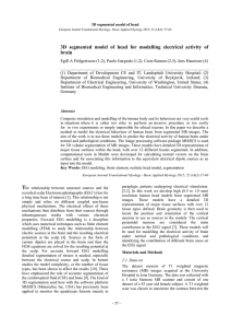 3D segmented model of head for modelling electrical activity of brain