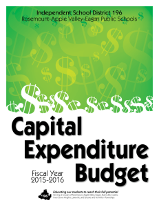 Capital Expenditure Budget Fiscal Year