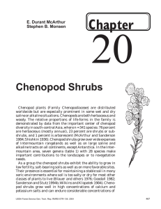 20 Chapter Chenopod Shrubs E. Durant McArthur