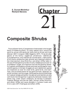 21 Chapter Composite Shrubs E. Durant McArthur