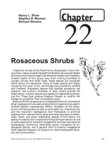 22 Chapter Rosaceous Shrubs Nancy L. Shaw
