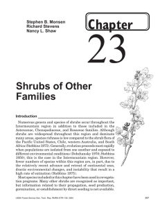 23 Chapter Shrubs of Other Families