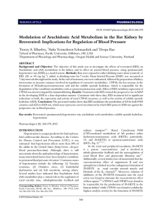 Modulation of Arachidonic Acid Metabolism in the Rat Kidney by