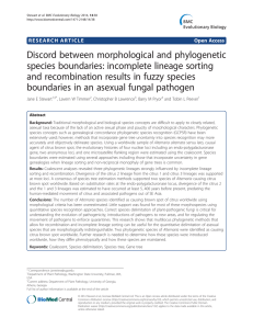 Discord between morphological and phylogenetic species boundaries: incomplete lineage sorting