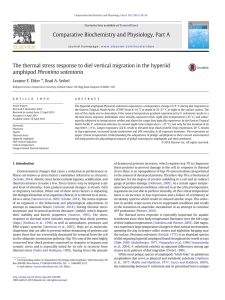 The thermal stress response to diel vertical migration in the... amphipod Phronima sedentaria ⁎ Leanne E. Elder