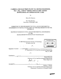 CARBON  AND  ELECTRON  FLOW VIA  METHANOGENESIS, N0