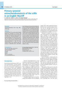Primary synovial osteochondromatosis of the stifle in an English Mastiff 160
