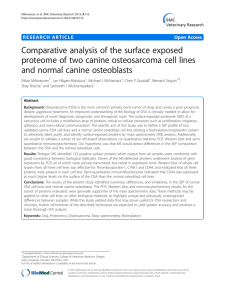 Comparative analysis of the surface exposed and normal canine osteoblasts