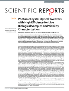 Photonic Crystal Optical Tweezers with High Efficiency for Live Characterization