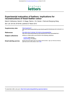 Experimental maturation of feathers: implications for reconstructions of fossil feather colour