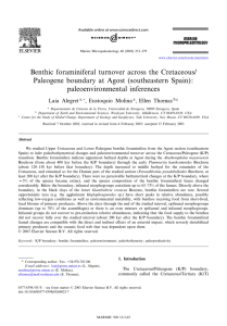 Benthic foraminiferal turnover across the Cretaceous/