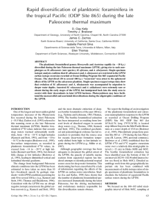Rapid diversification of planktonic foraminifera in